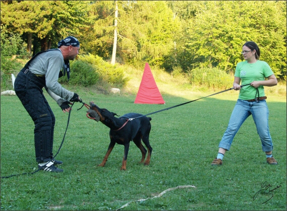 Summer training camp - Jelenec - 2007